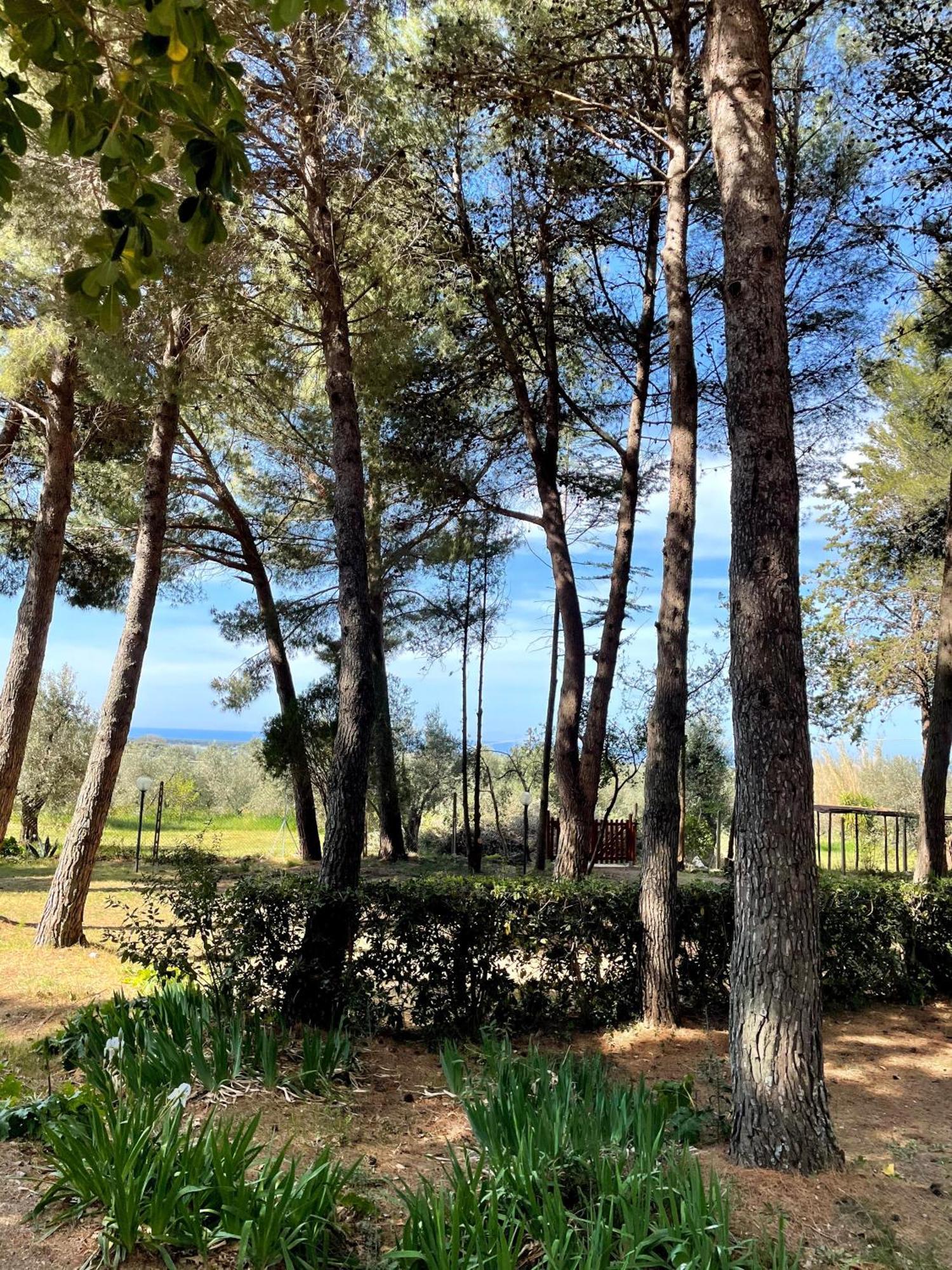 Agriturismo Podere Campalto Campiglia Marittima Exterior photo