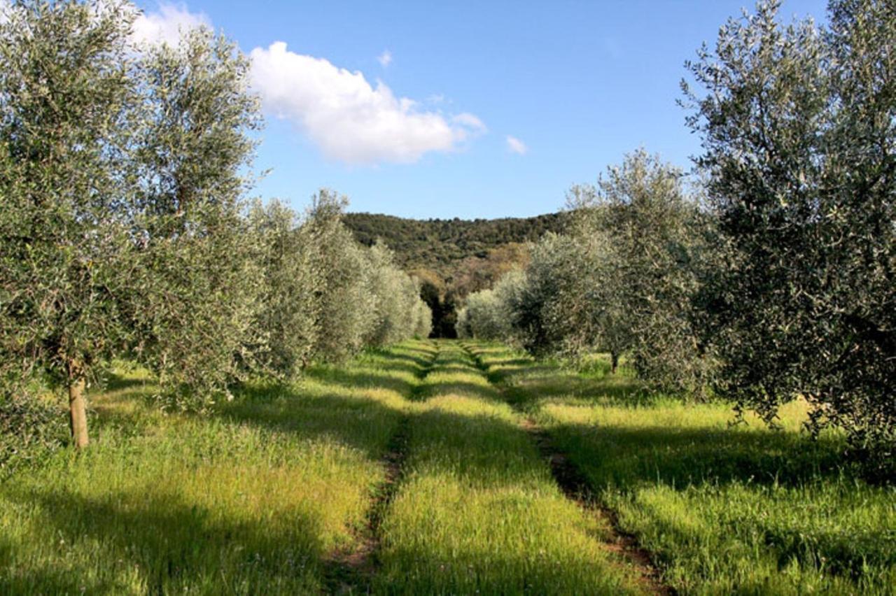Agriturismo Podere Campalto Campiglia Marittima Room photo