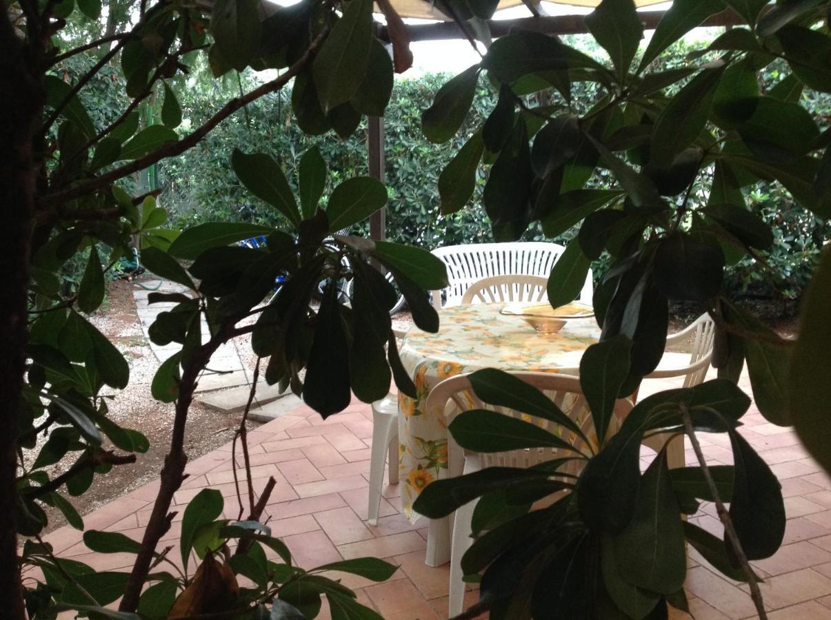 Agriturismo Podere Campalto Campiglia Marittima Exterior photo